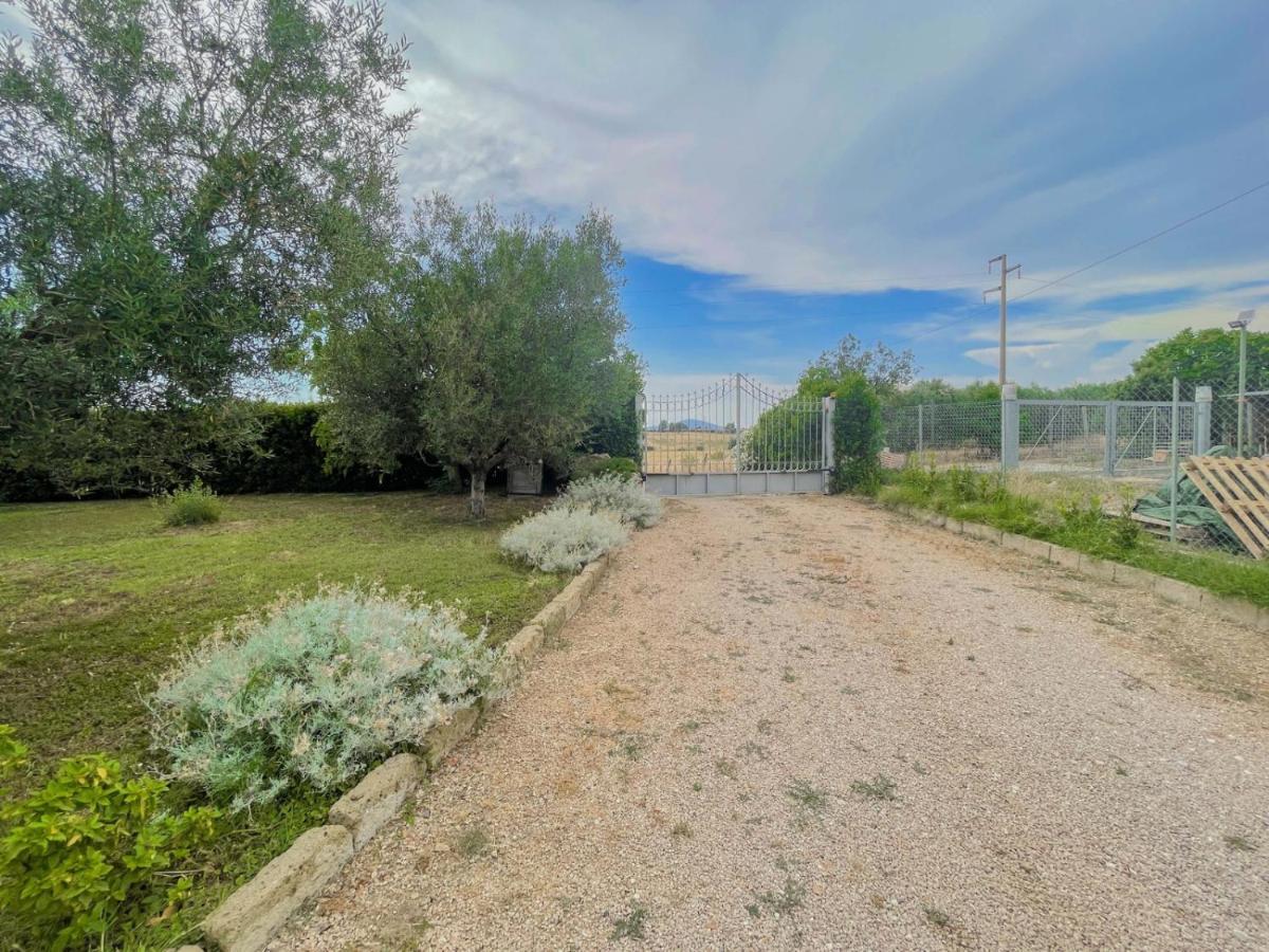 In Campagna Tra Natura E *
