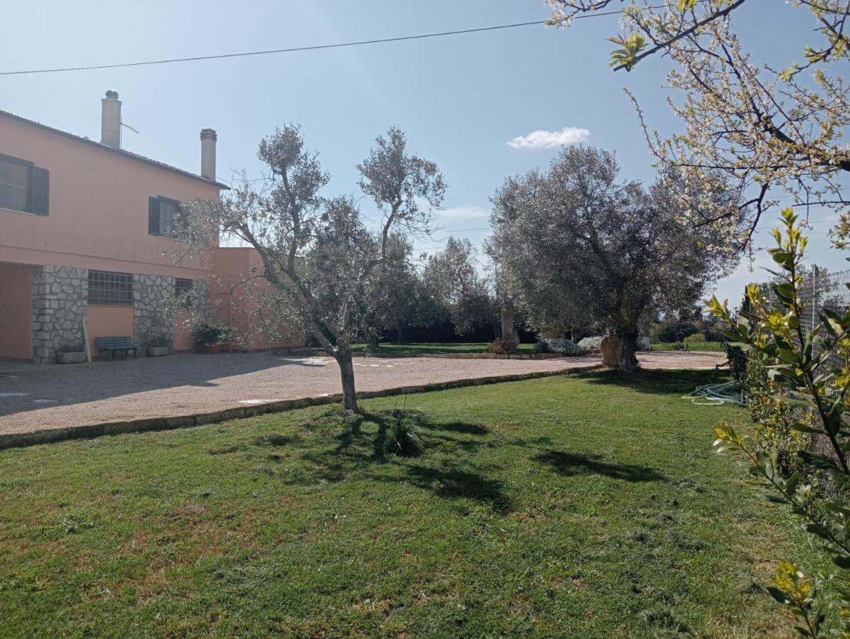 In Campagna Tra Natura E * Montalto di Castro